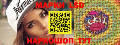 apvp Тулун
