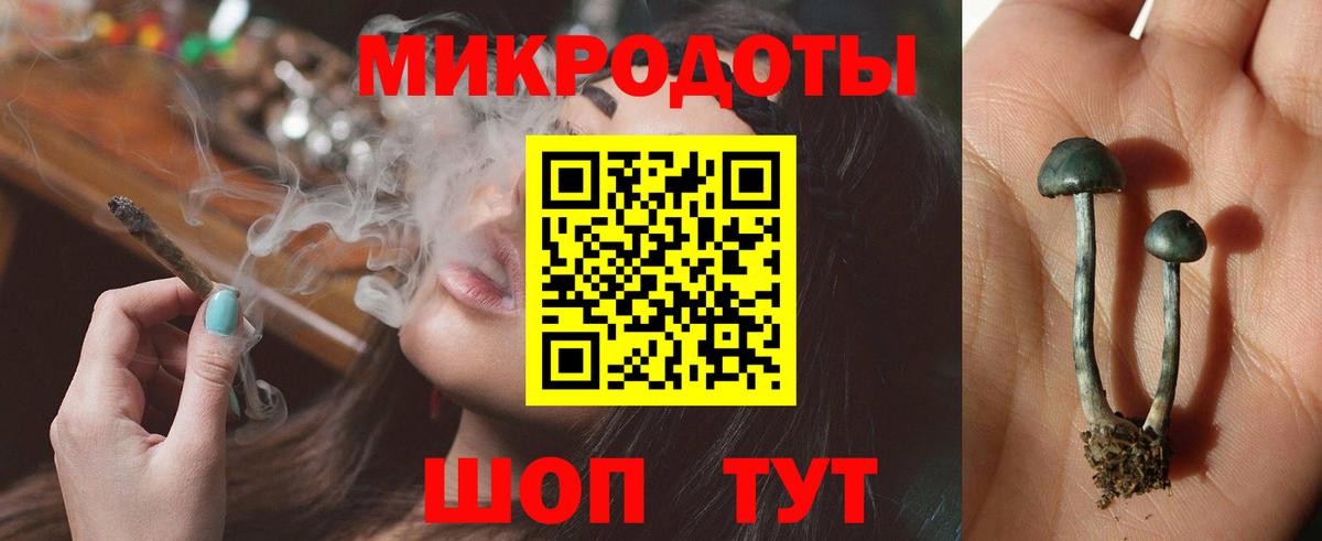 Псилоцибиновые грибы GOLDEN TEACHER  купить  цена  Гатчина  Вход с VPN 