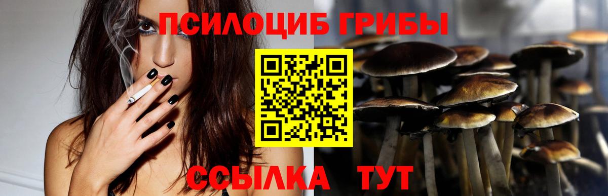 Галлюциногенные грибы мицелий Гатчина